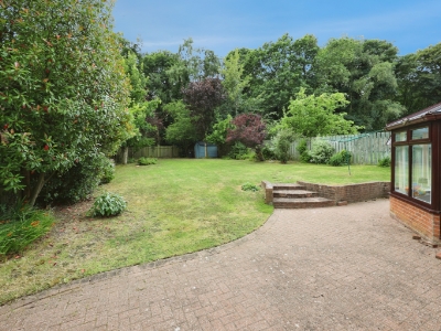 Picture 20